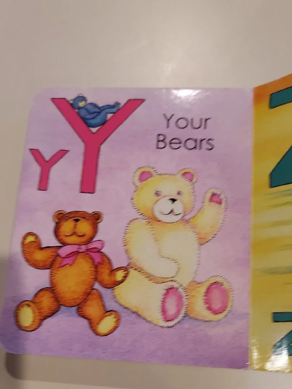 Alaska's ABC Bears - Kids Board Book